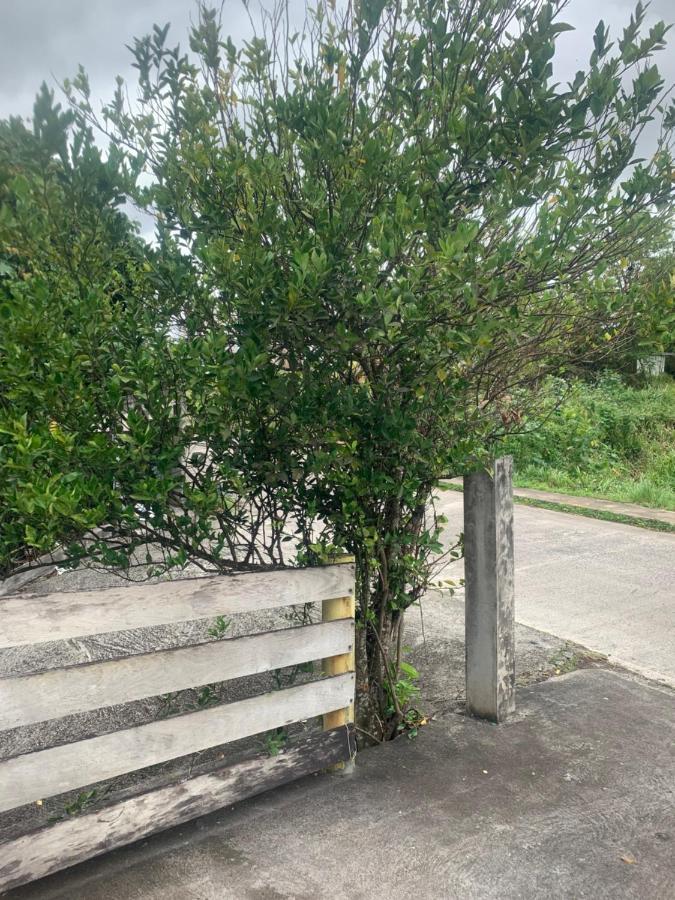 Ducos Caraibes Loc 아파트 외부 사진